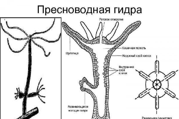 Официальный ссылка на kraken kramp.cc